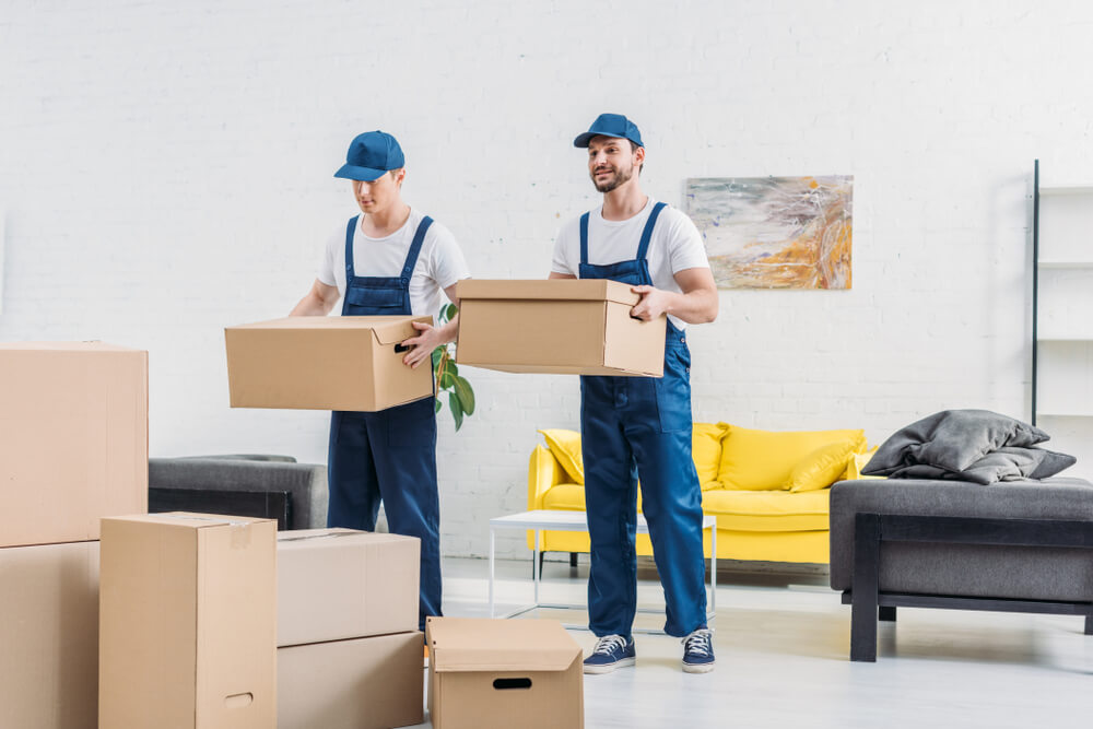 Moving Insurance