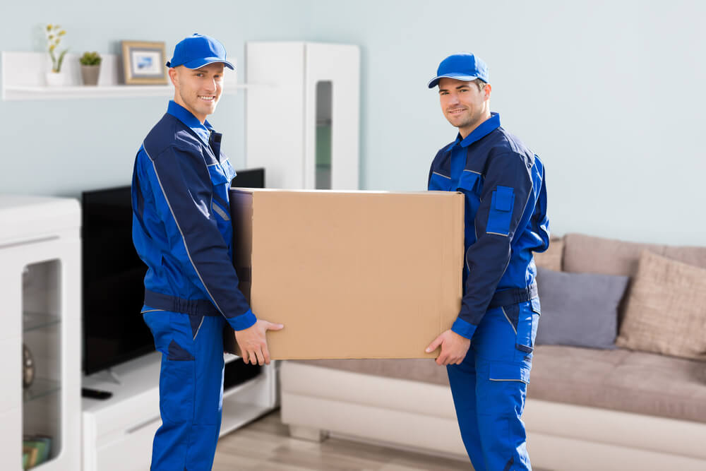 Business Growth For Movers